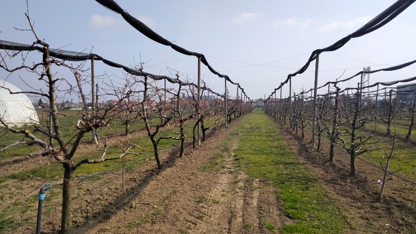 Strategija ruralnog razvoja