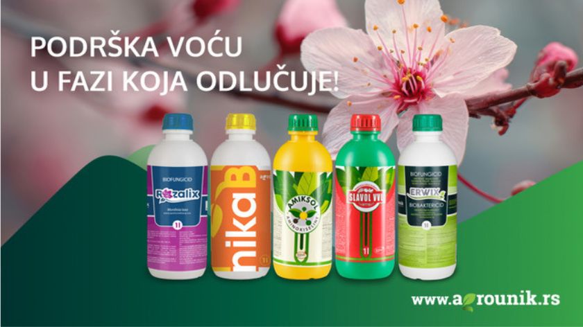 zametanje plodova voća