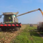 CLAAS Trion 650