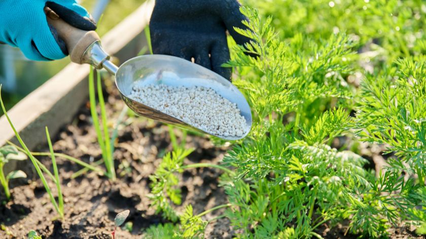 Indirektni efekti već se osećaju © Canva Cena đubriva