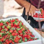 Cene voća i povrća