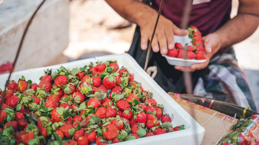 Cene voća i povrća