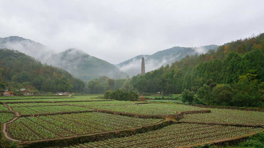 Kineska poljoprivreda