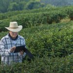 Kineska poljoprivreda