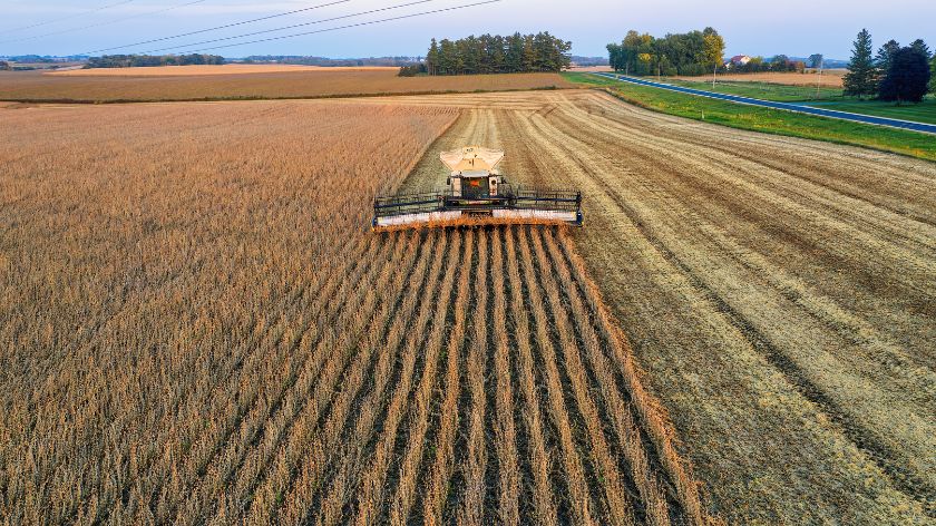 poljoprivreda u Mađarskoj
