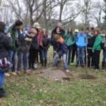 Pokret Gorana Srbije