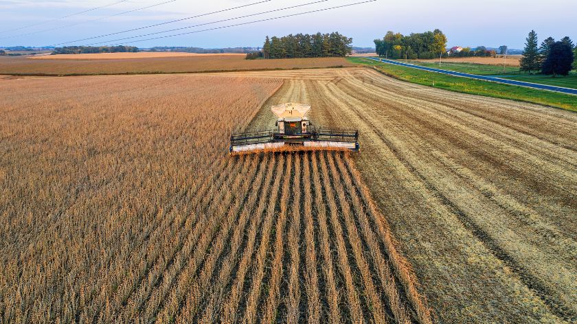 Da li je soja dobitnik u krizi? © Canva Setva 2026