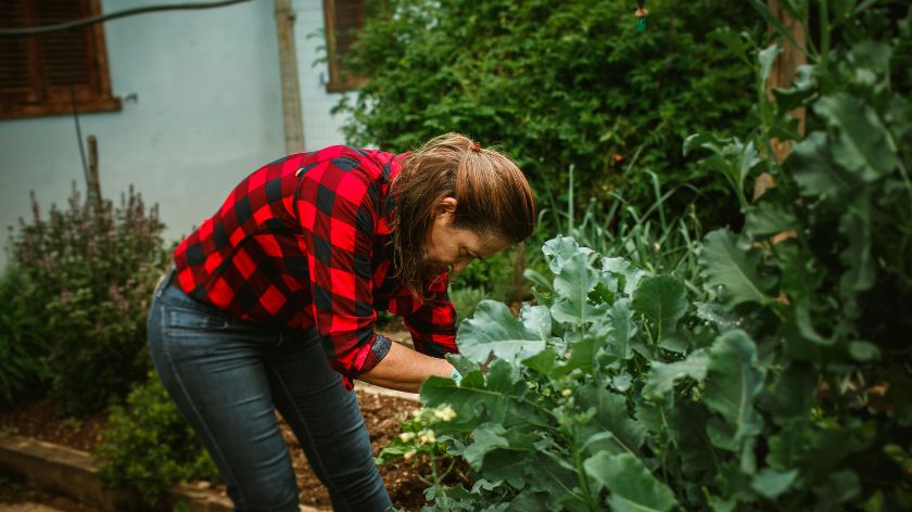 Šta saditi u aprilu? 12 vrsta povrća za bogatu letnju berbu! © Canva Šta saditi u aprilu