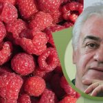 Maline
