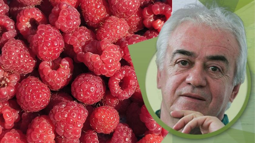 Maline