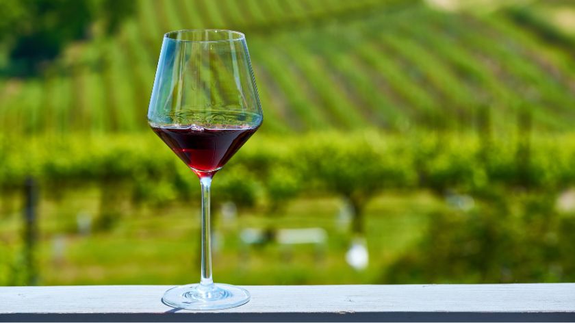 Fokus na domaće grožđe i zaštitu porekla © Canva Zakon o vinu