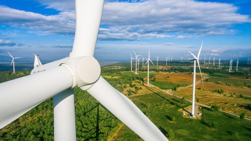 Da li vetroelektrane ugrožavaju poljoprivredu? © Canva vetroelektrane