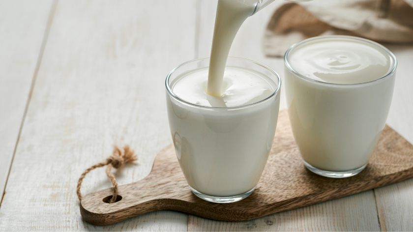Jogurt