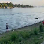 Sava