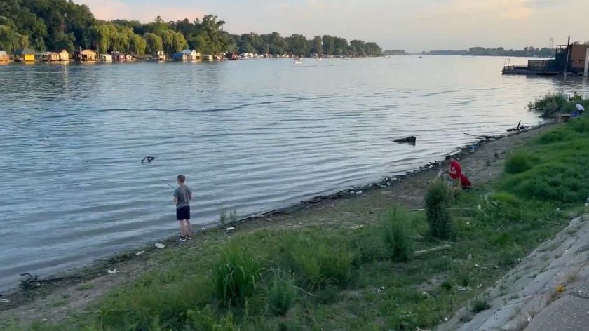 Sava
