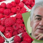 Maline