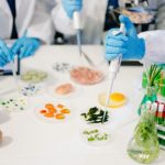 Biotehnologija u poljoprivredi
