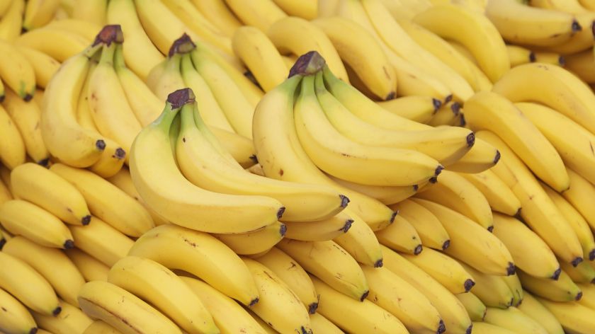 Razvijene su banane koje znatno sporije tamne © Canva Biotehnologija u poljoprivredi