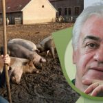 Ko je kriv