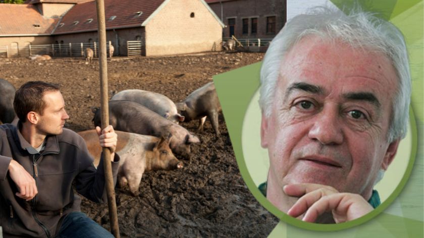 Ko je kriv