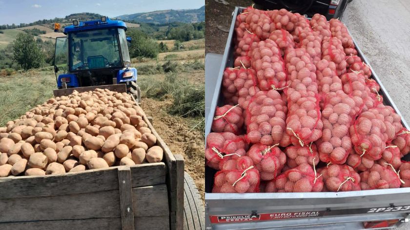 Cena nešto viša za manje količine © Đorđe Ćirić proizvodnja krompira