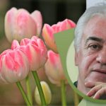 Kraljevski selfi