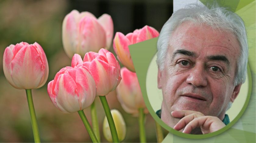 Kraljevski selfi