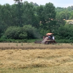 kombajn žanje
