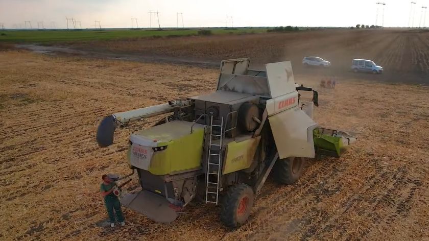 CLAAS Trion 530