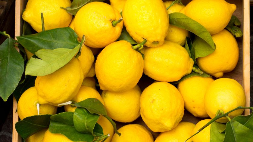 I organski limun, pomorandžu ili limetu treba oprati pre korišćenja © Canva Kora limuna