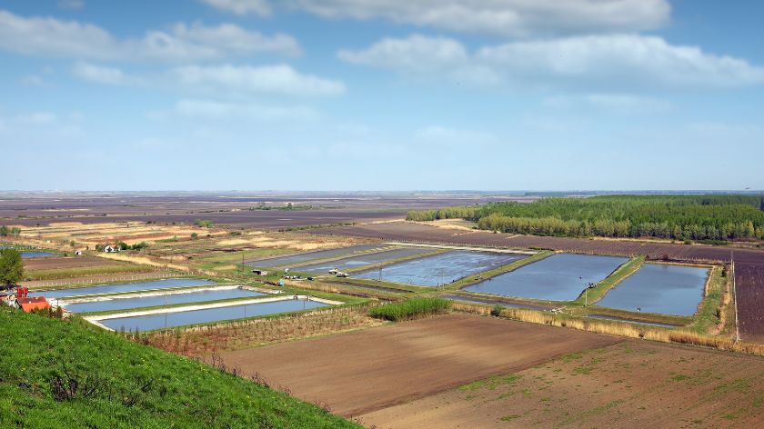 Umesto u reke, voda iz ribnjaka ide na žedne njive © Canva Voda iz ribnjaka