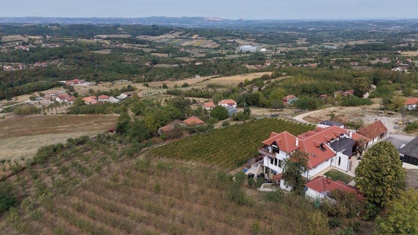 najbolje vino Srbije 