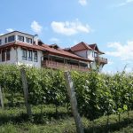 najbolje vino Srbije