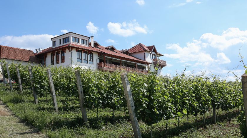 najbolje vino Srbije